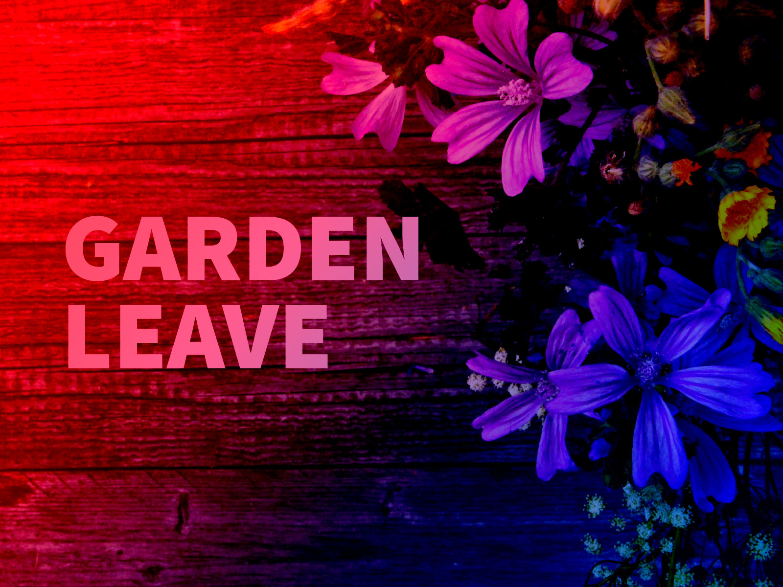 Garden leave (gardening leave) and dismissal
