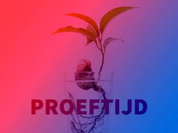Preview: ontslag/moment/proeftijd