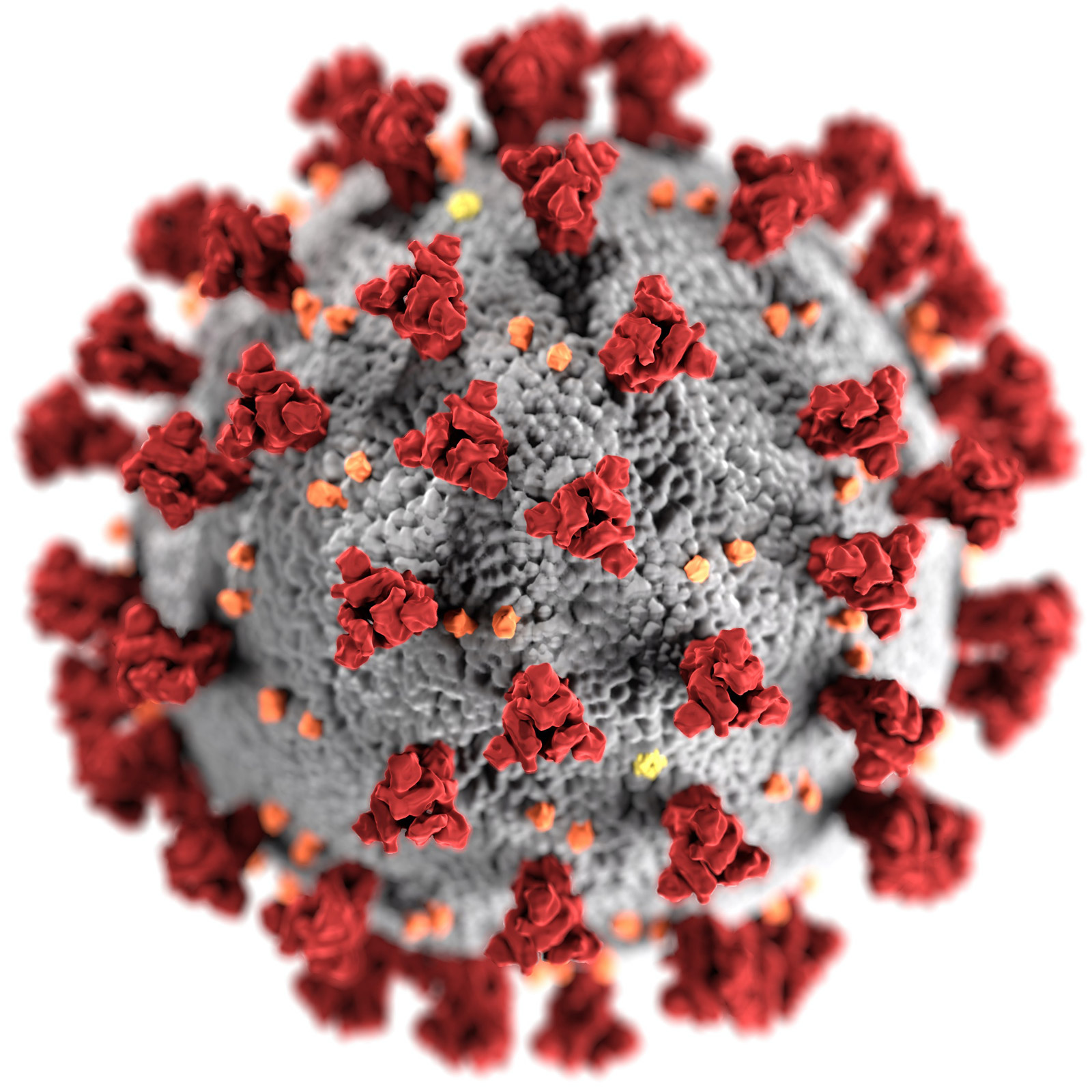 Corona virus werk ontslag